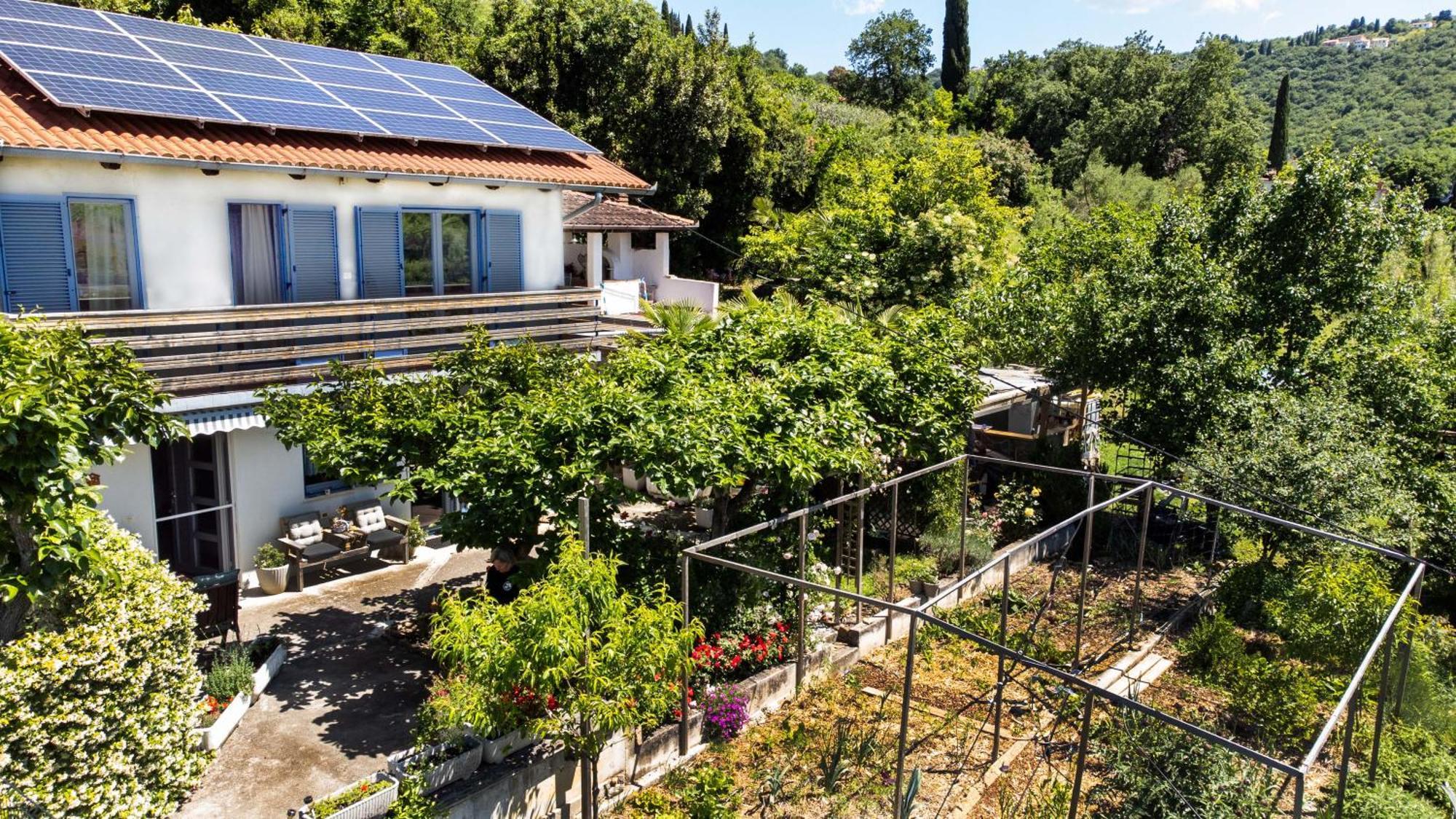 Apartma Salvia-Guest House Lucija Exterior foto
